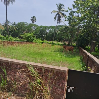 Residential Plot for Sale in Jeppu, Mangaluru | Prime City Location