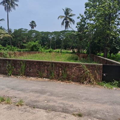 Residential Plot for Sale in Jeppu, Mangaluru | Prime City Location
