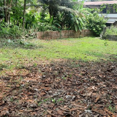 25-Cent Residential Plot for Sale in Mulki