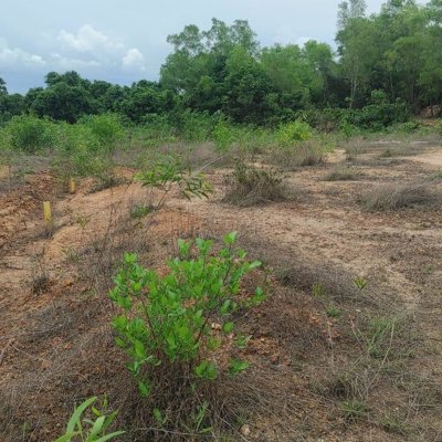 10-Cent Residential Plot for Sale in Mulki, Mangaluru