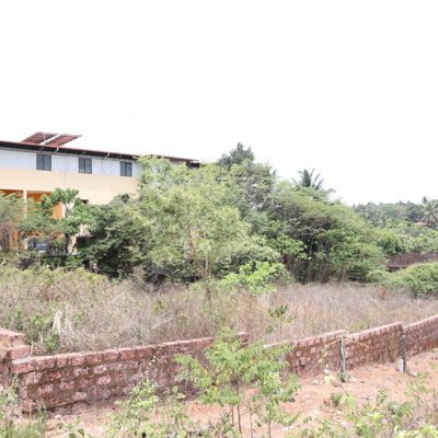 Layout Property – Price: ₹8 lakh per cent.