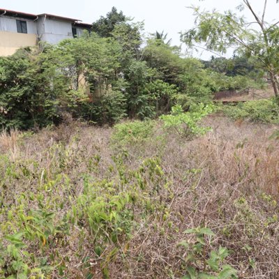 Layout Property – Price: ₹8 lakh per cent.
